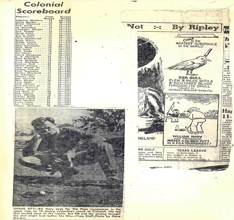 image31