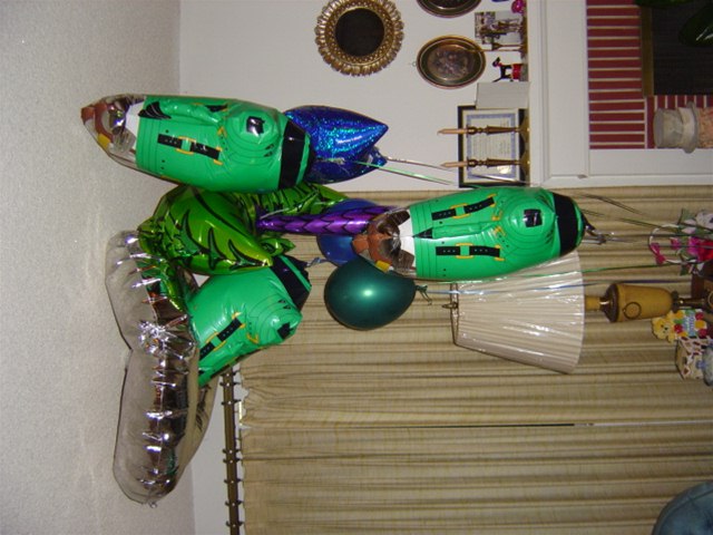 image94